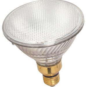 30 Degrees Clear Light Bulb, Dimmable