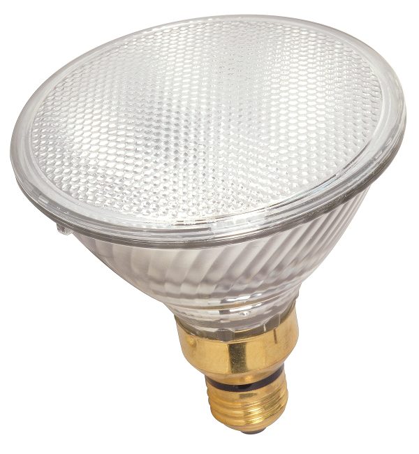 30 Degrees Clear Light Bulb, Dimmable